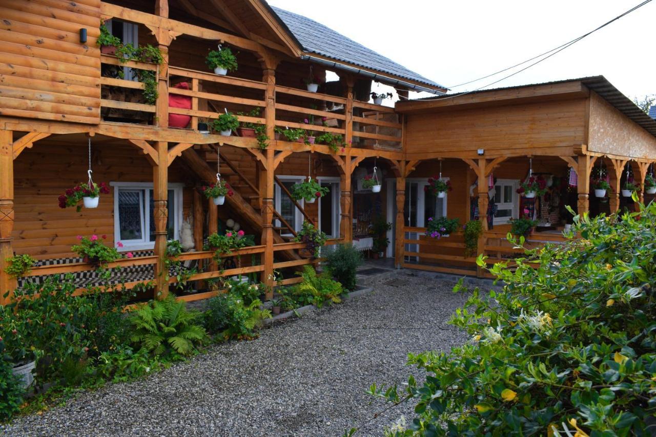 Casa Vladicu Hotel Breb Exterior photo