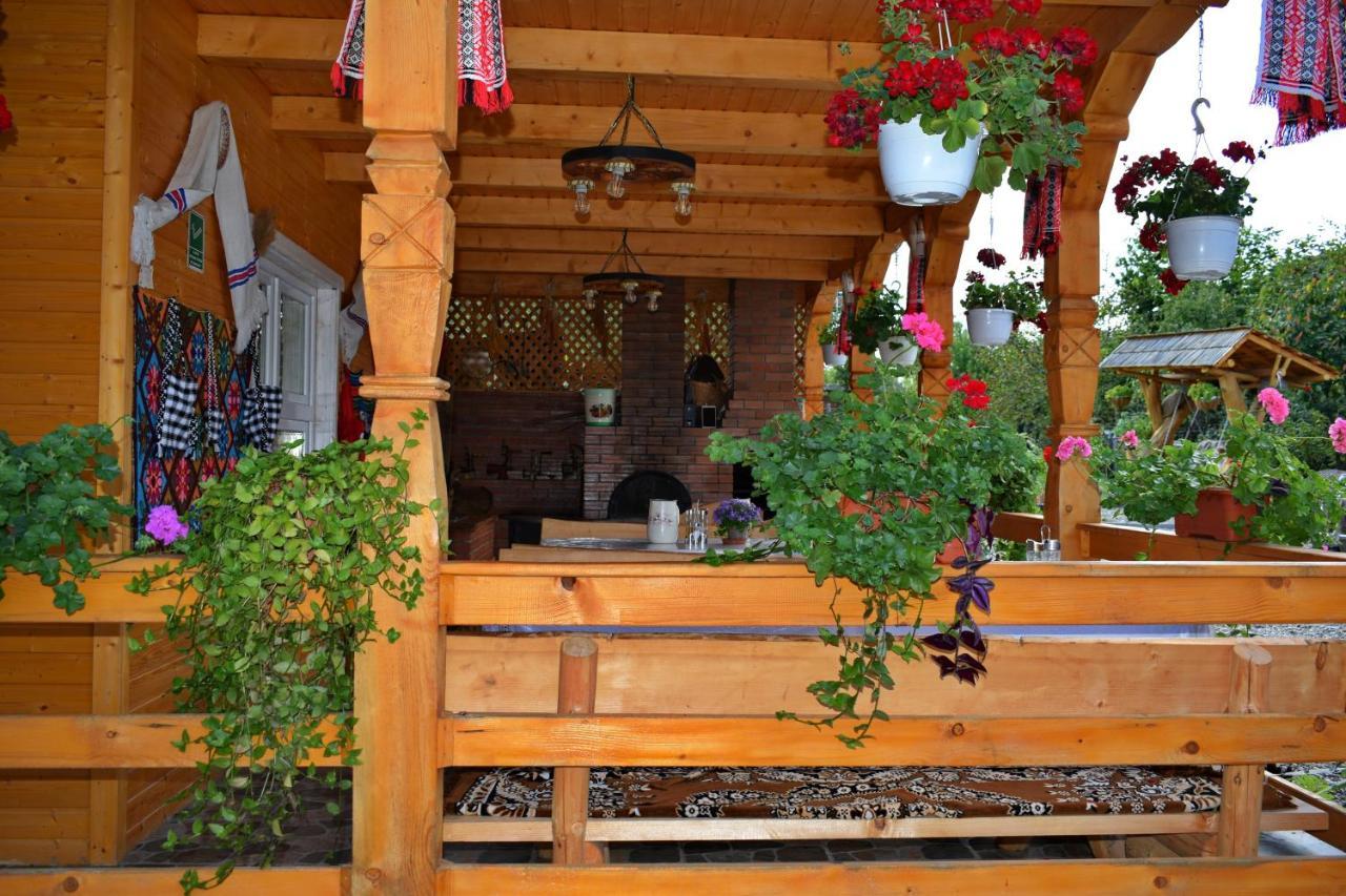 Casa Vladicu Hotel Breb Exterior photo