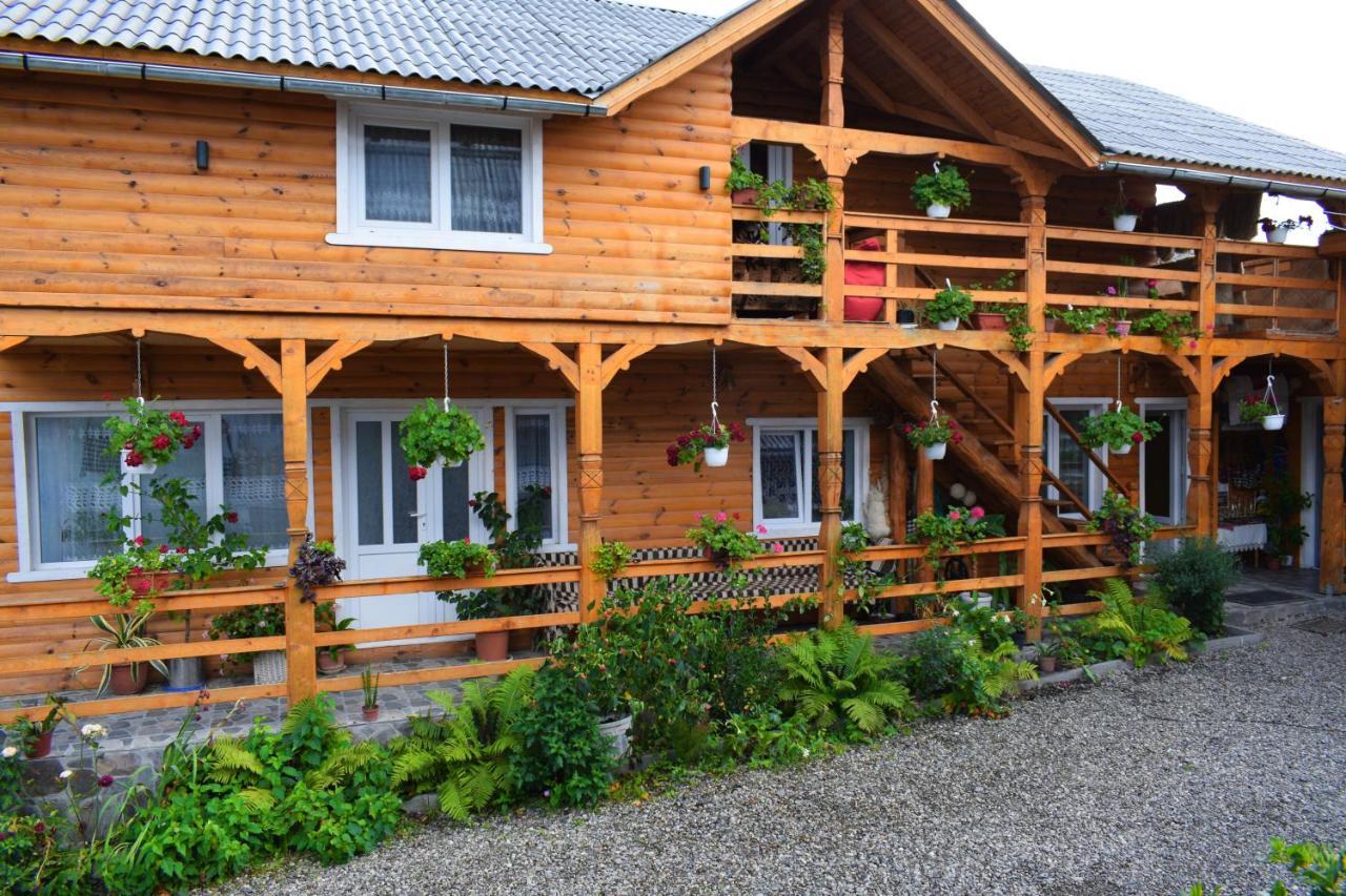 Casa Vladicu Hotel Breb Exterior photo