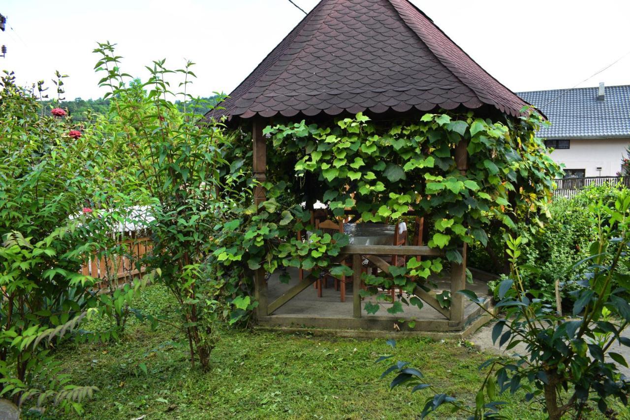 Casa Vladicu Hotel Breb Exterior photo